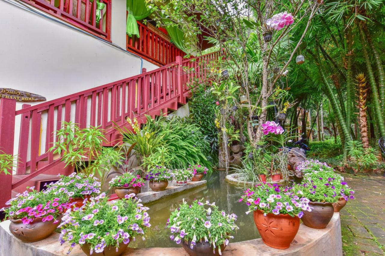 Xishuangbanna Elephant Home Guesthouse Jinghong Extérieur photo